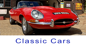 Classic Cars Area