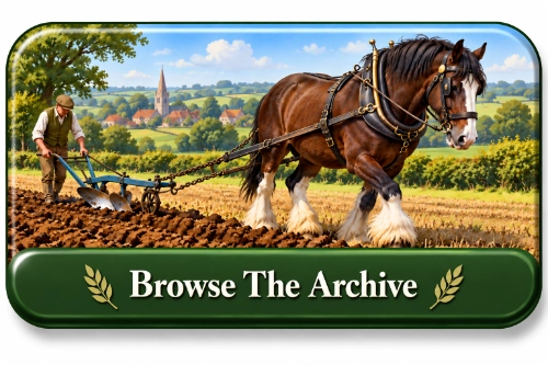 Archive Browse the Archive Button